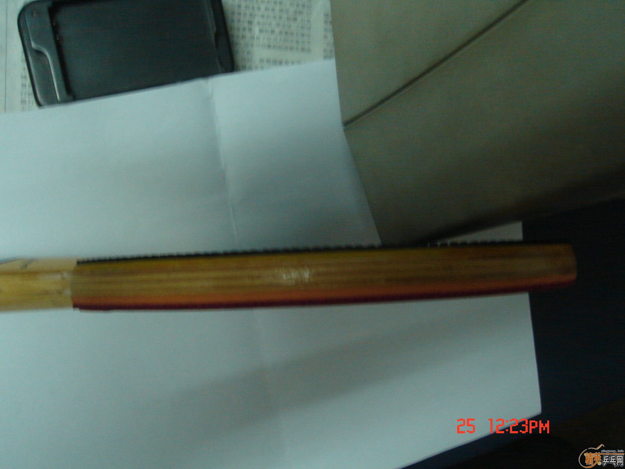 QUANXIN�϶��ƻ�һֻ����