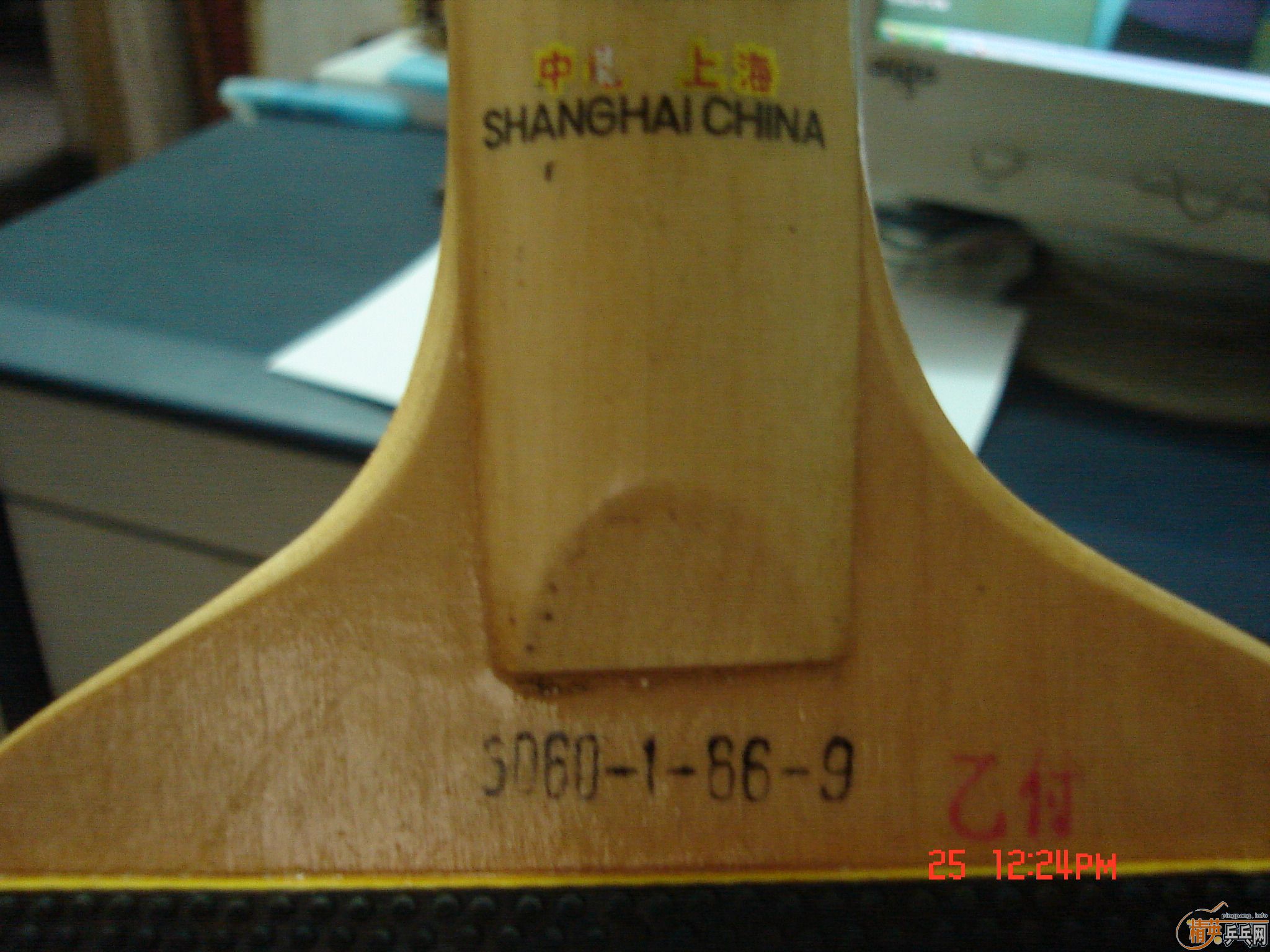 QUANXIN�϶��ƻ�һֻ����