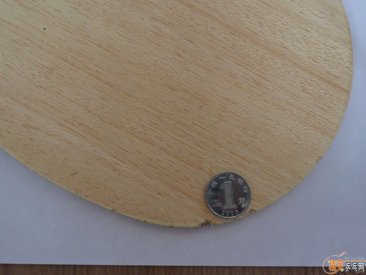 ֧������������ R5