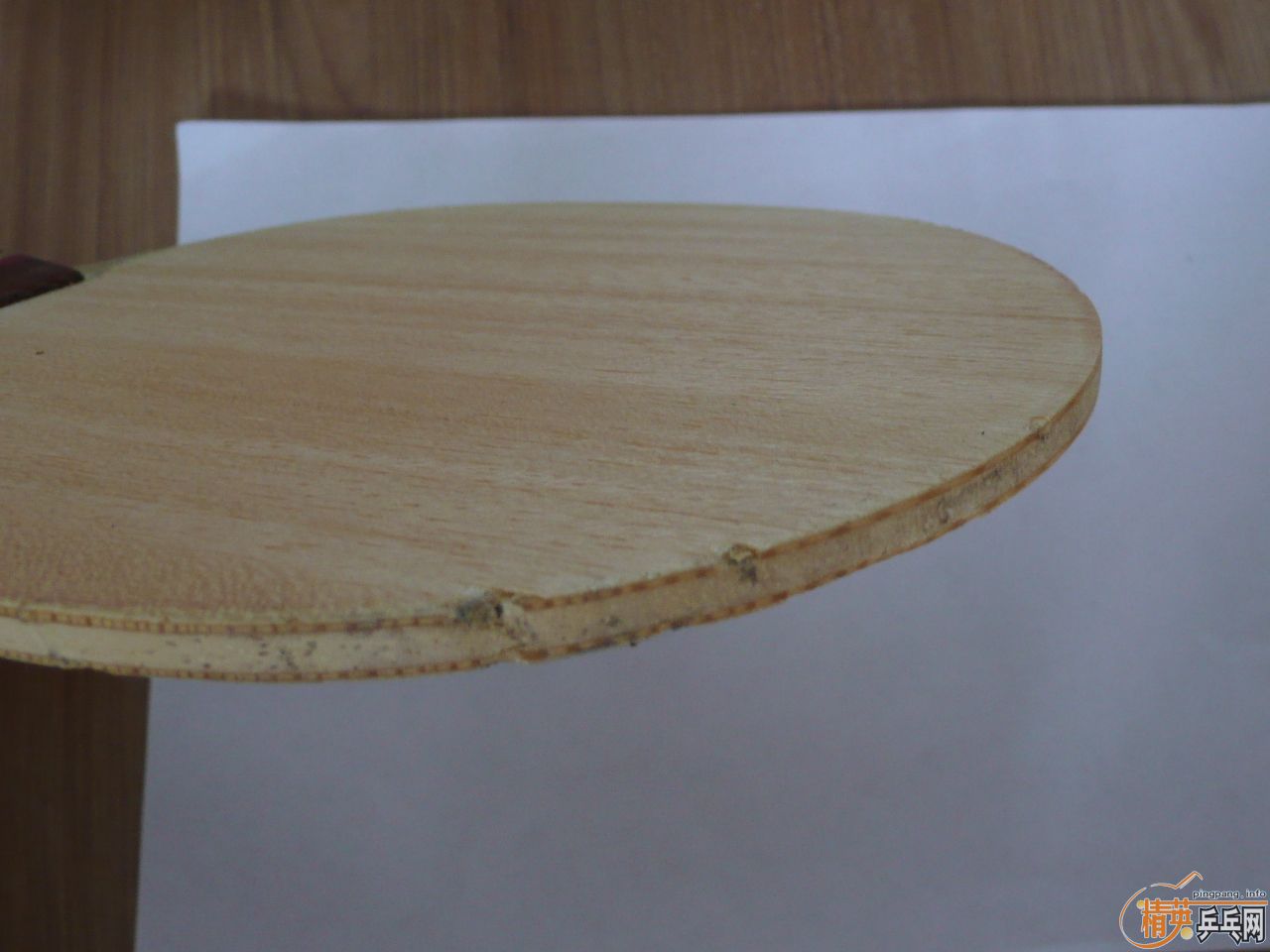 ֧������������ R5