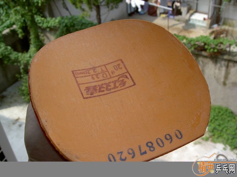 �ټ��ĿƱ������ģ�CO������95��ʡ�������ھ���39�ȣ�û��˺������