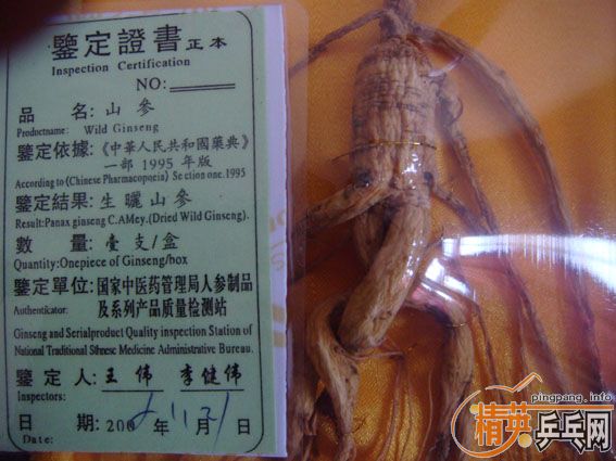 ����ɽ�˲� ÷��¹�޳����µ��׵ȵ�