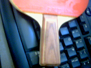 [ԭ��]������R5��95�¡�300���ʣ�QQ9129091