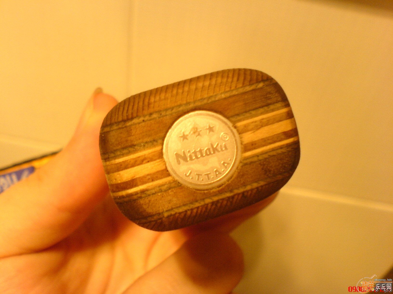 ����������С������רҵ�װ�  �� �װ�