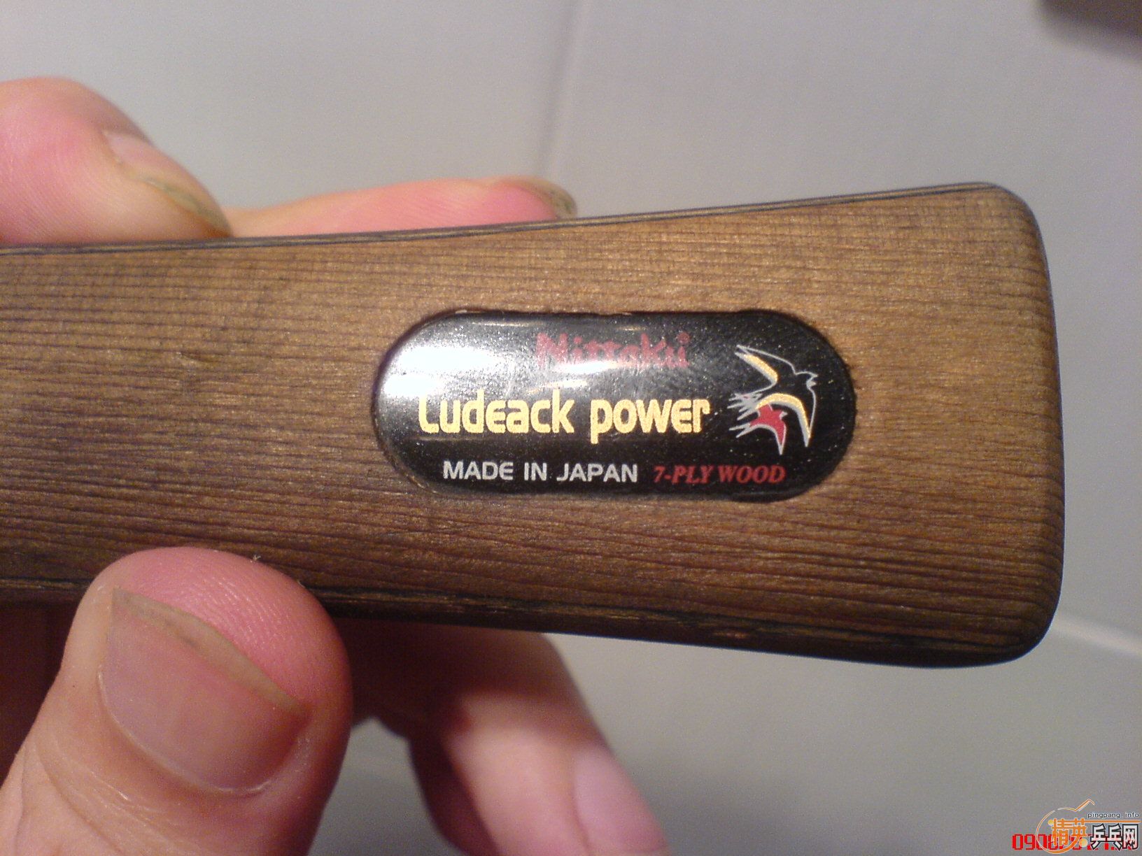 ����������С������רҵ�װ�  �� �װ�