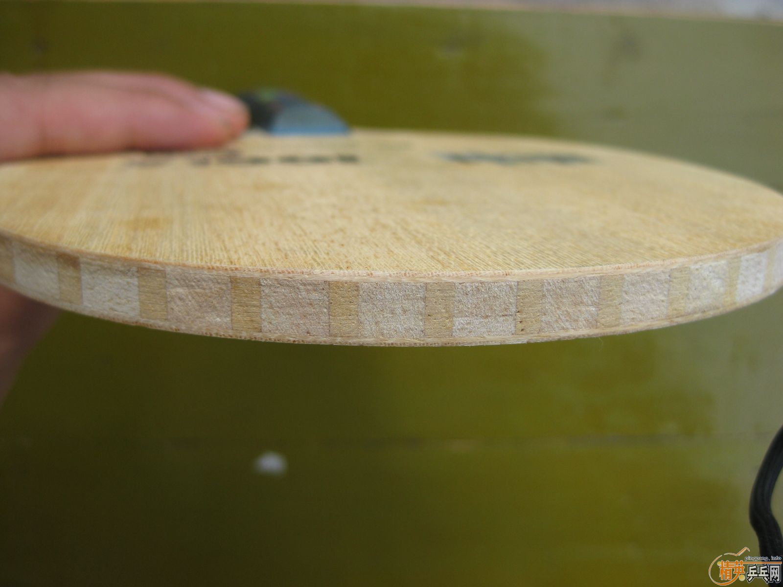 ����ı�������ľ��о����MC1�����������NARCUS