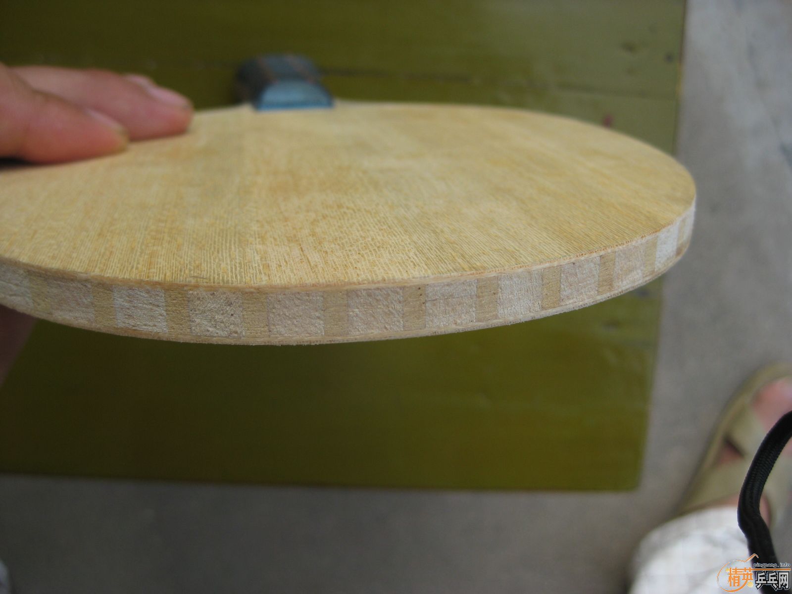 ����ı�������ľ��о����MC1�����������NARCUS