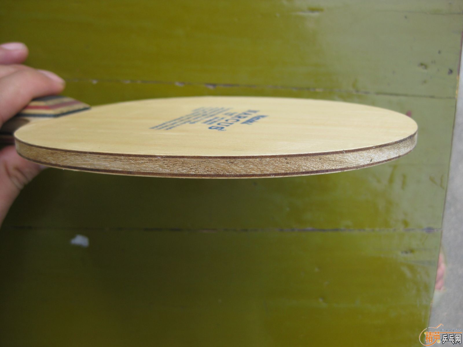 ����ı�������ľ��о����MC1�����������NARCUS