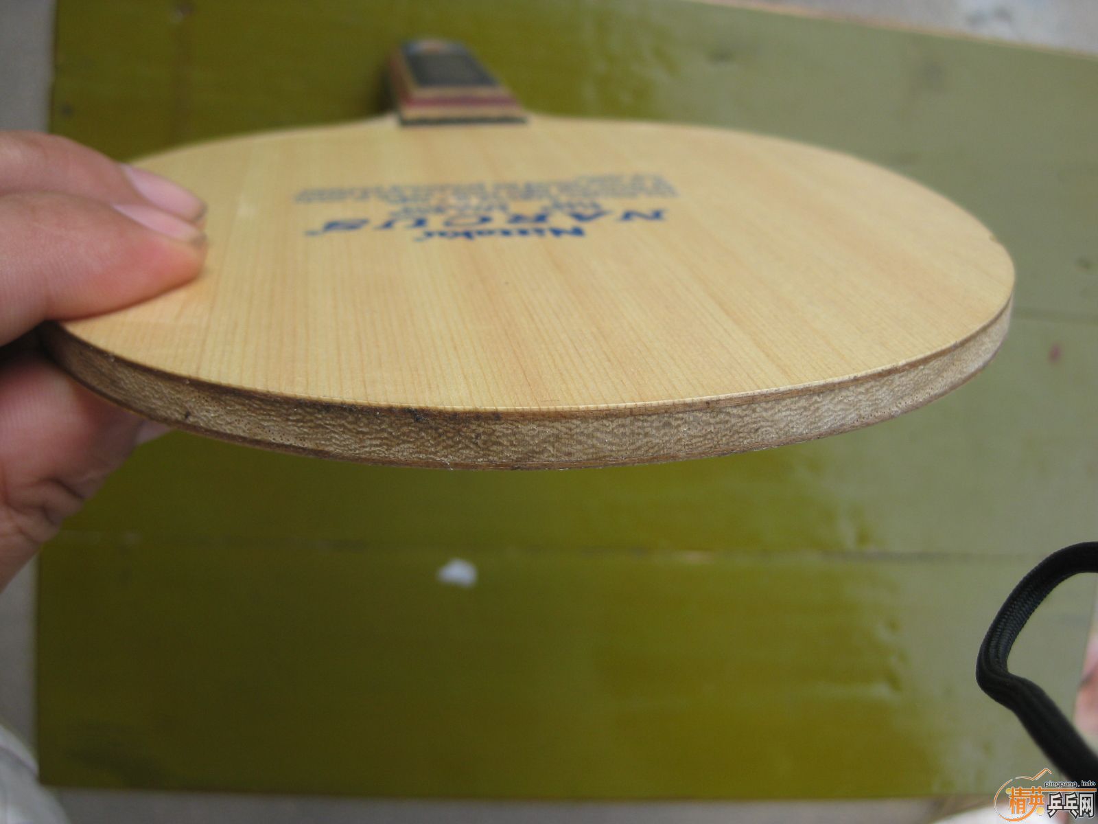 ����ı�������ľ��о����MC1�����������NARCUS