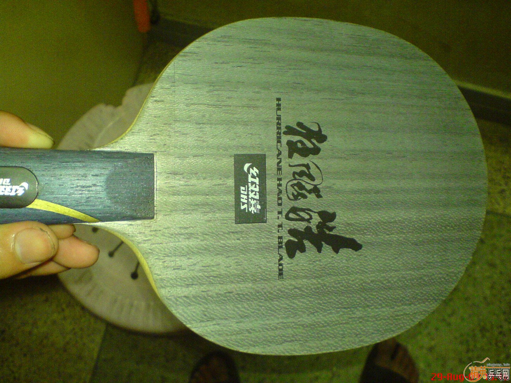 ��95��Ʒ�໹�����Ŀ�𩣡��