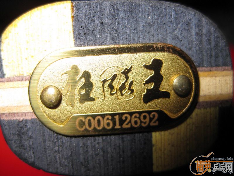 ɹһɹ���컨Ѫ�����06 quanxin ��������-->liuzongangת��