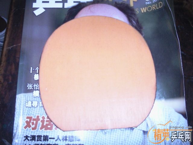 ��AVX-V1��ľ�װ壡�ż۱ȳ��ã�