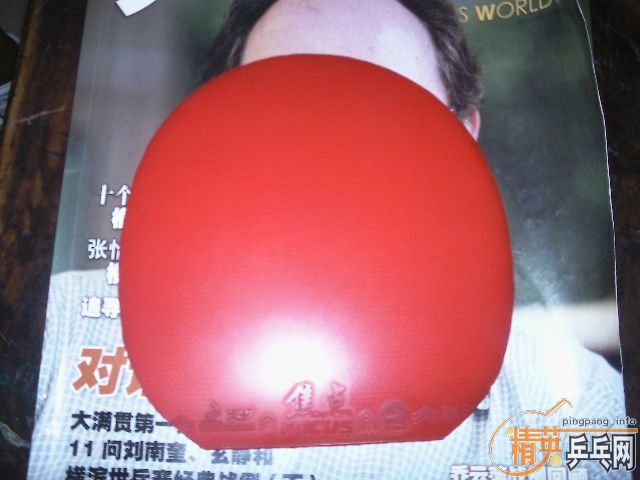 ��AVX-V1��ľ�װ壡�ż۱ȳ��ã�