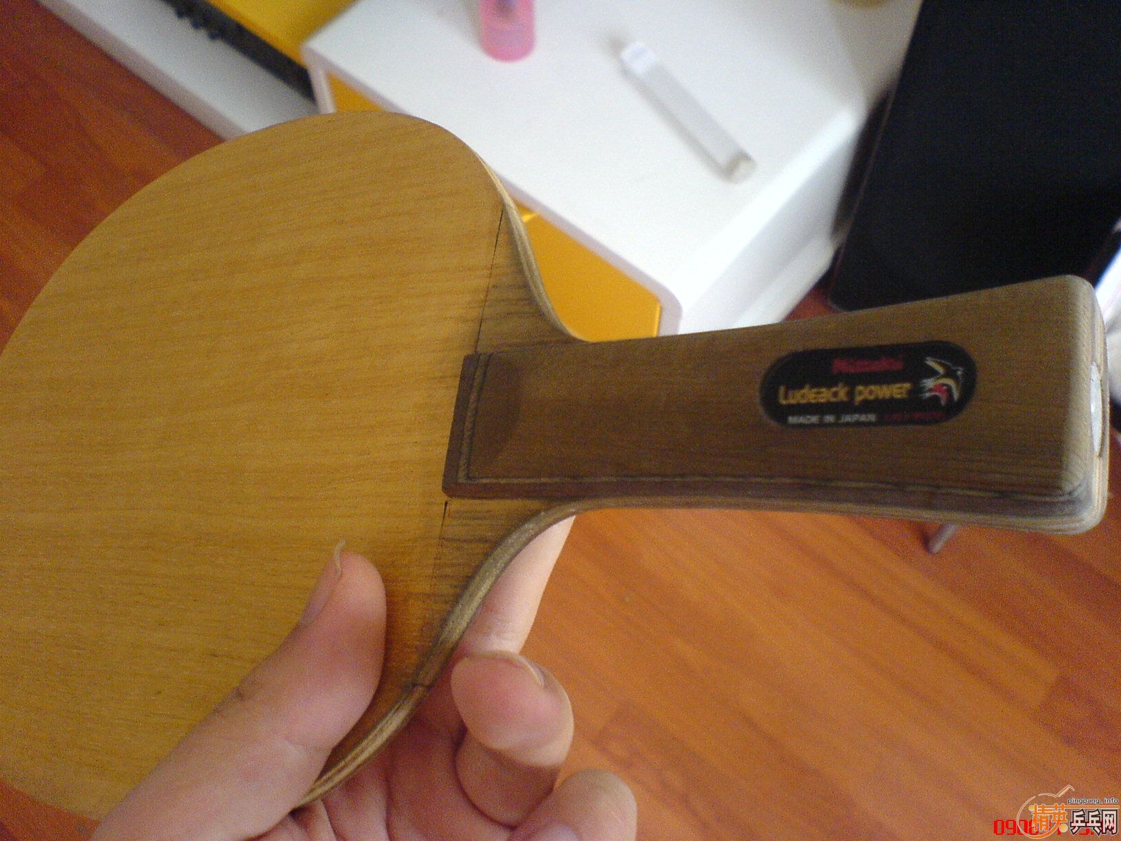 �� ����С������  ���µ�����