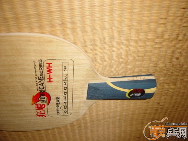 �����-WH(NEW)