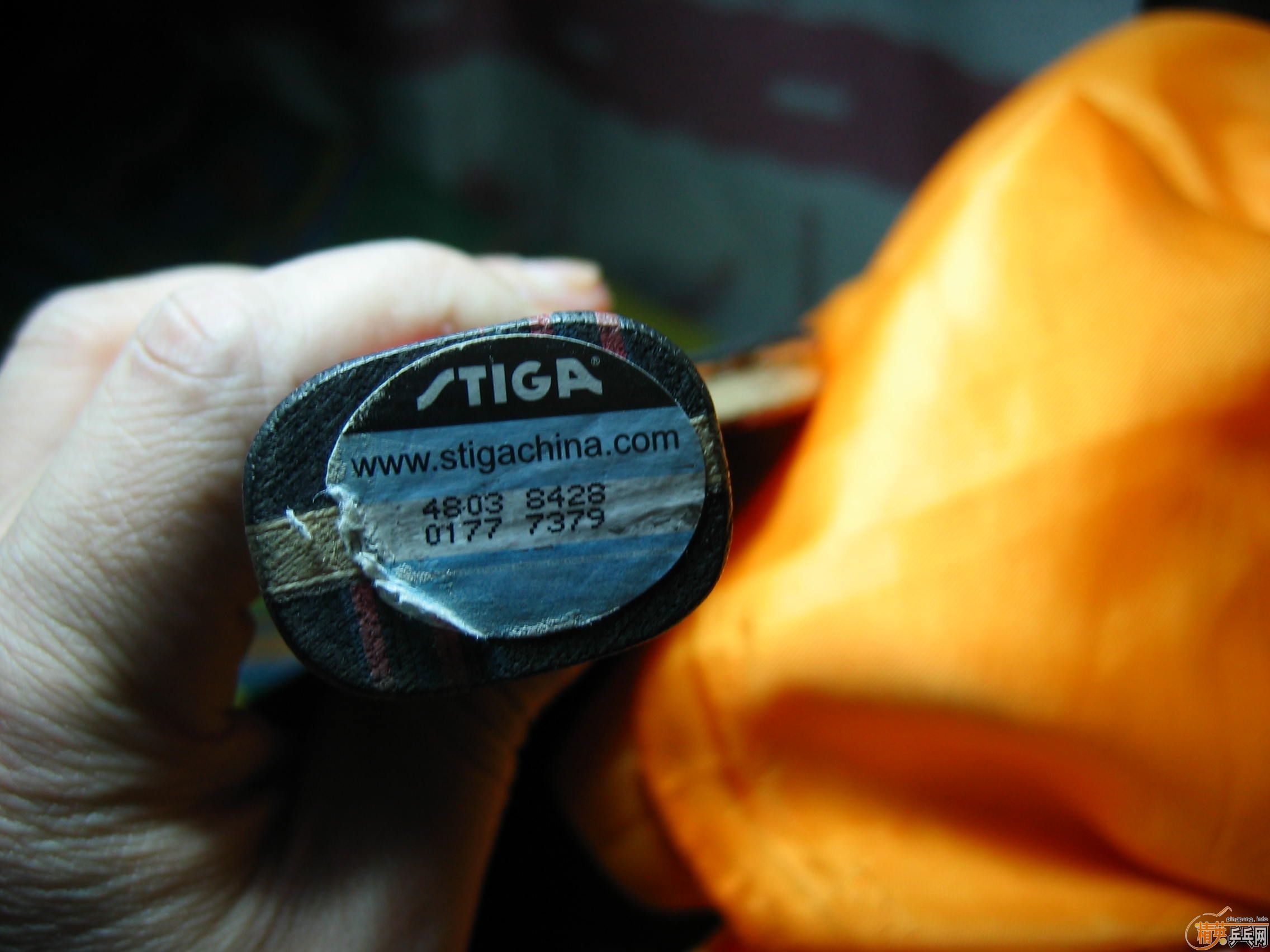 ���׳���C����