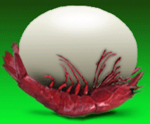 Ҷ Ⱥ﷢Ц