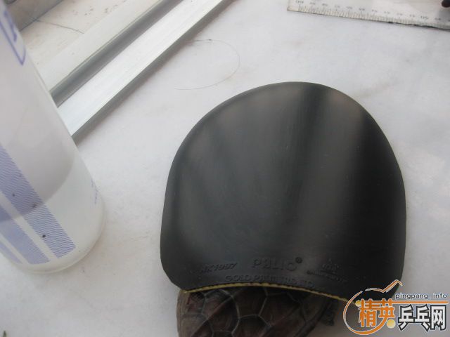 ���������Ƥ