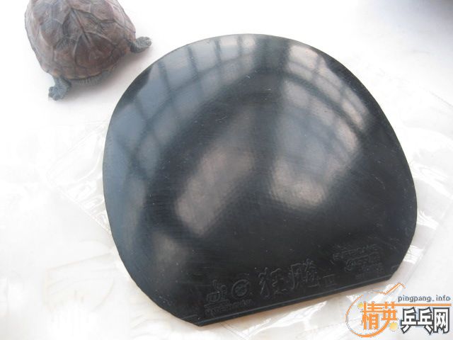 ���������Ƥ