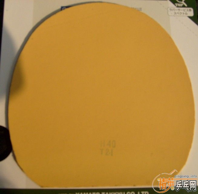 ŷ�洿CL.����..��������.