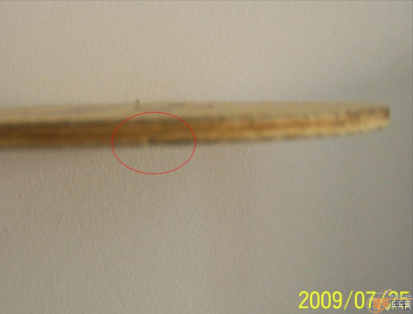 ֱ�ĳ���z����֧��������