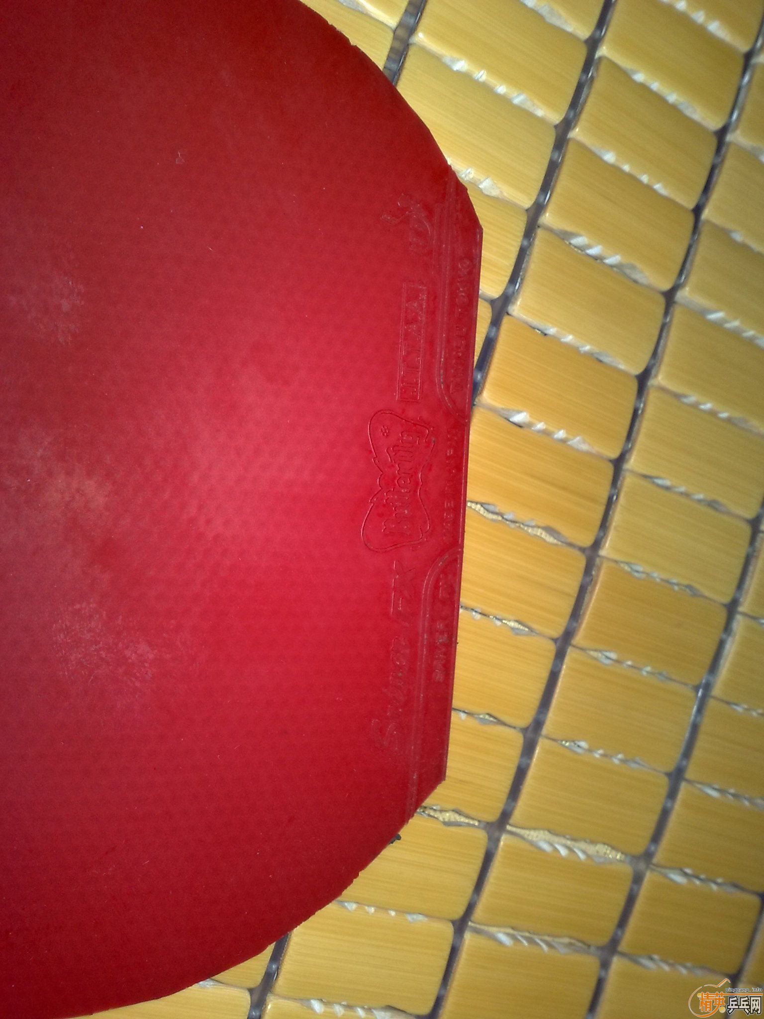 65��������FX