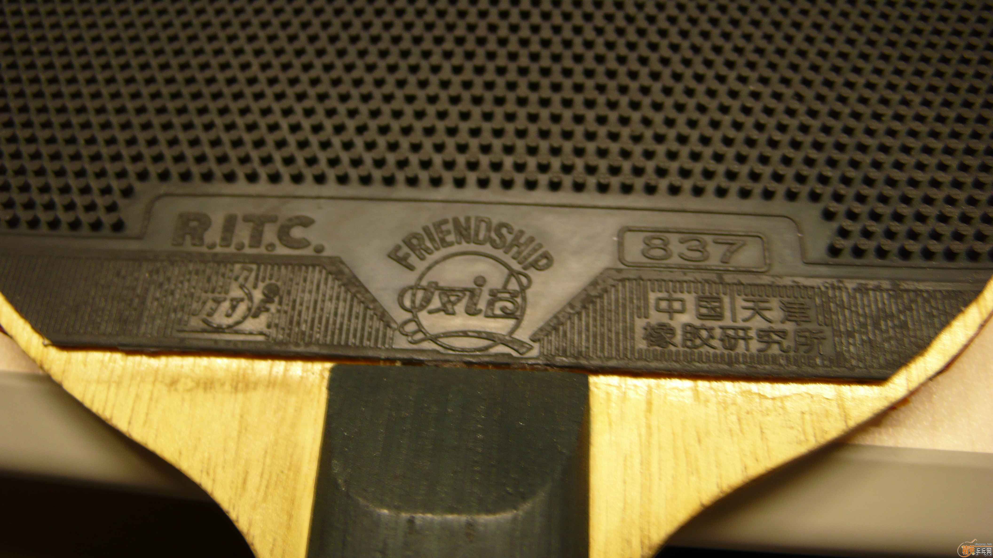 ��ɫ����������װ�������˳��ˣ�