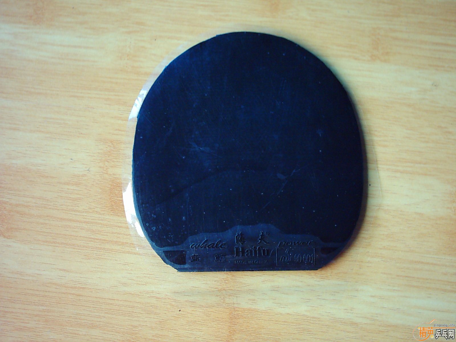 ����-------------�Ʊ���