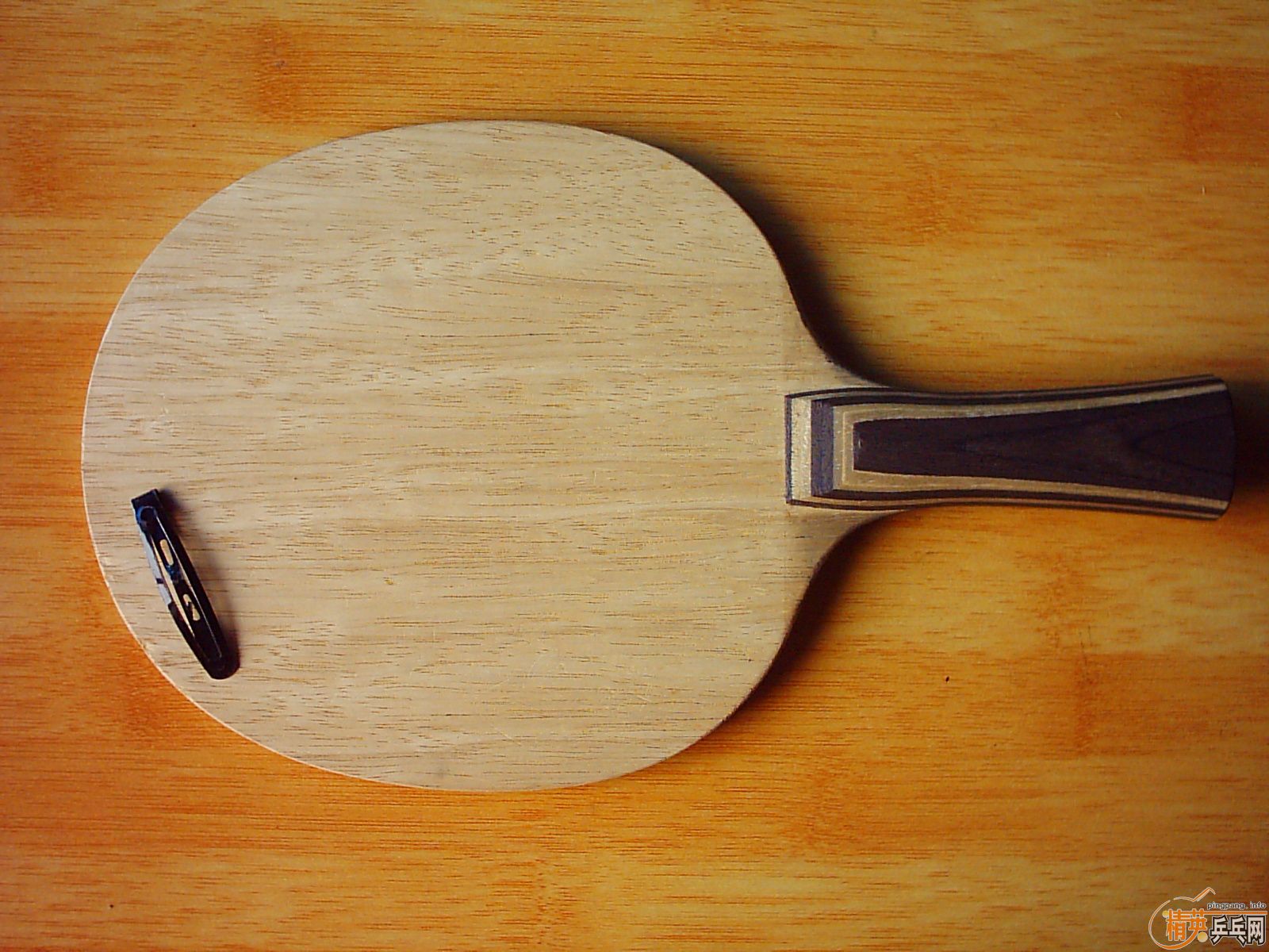 ����-------------�Ʊ���