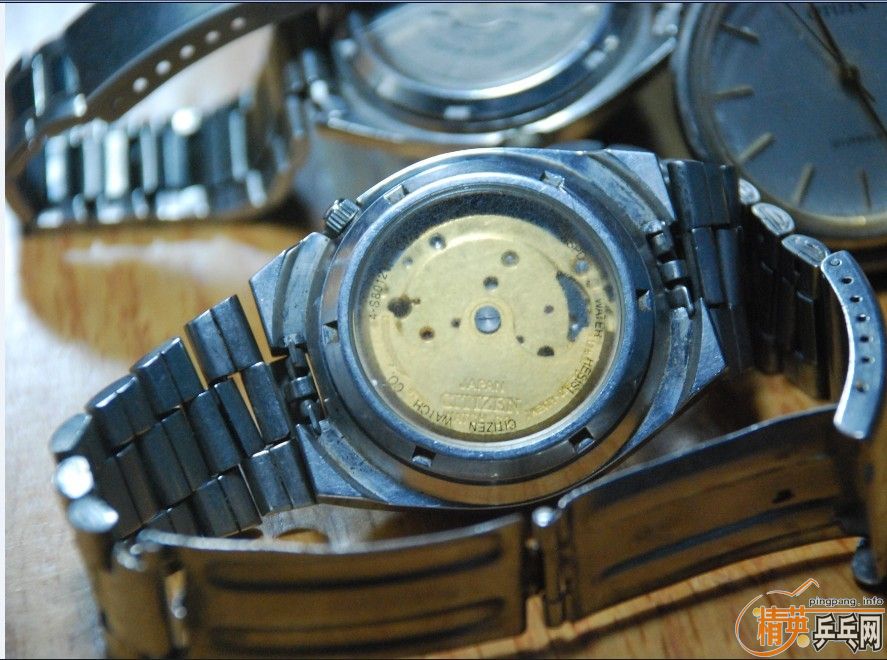 ��ֻ�϶����ܻ�һֻ����������oc��