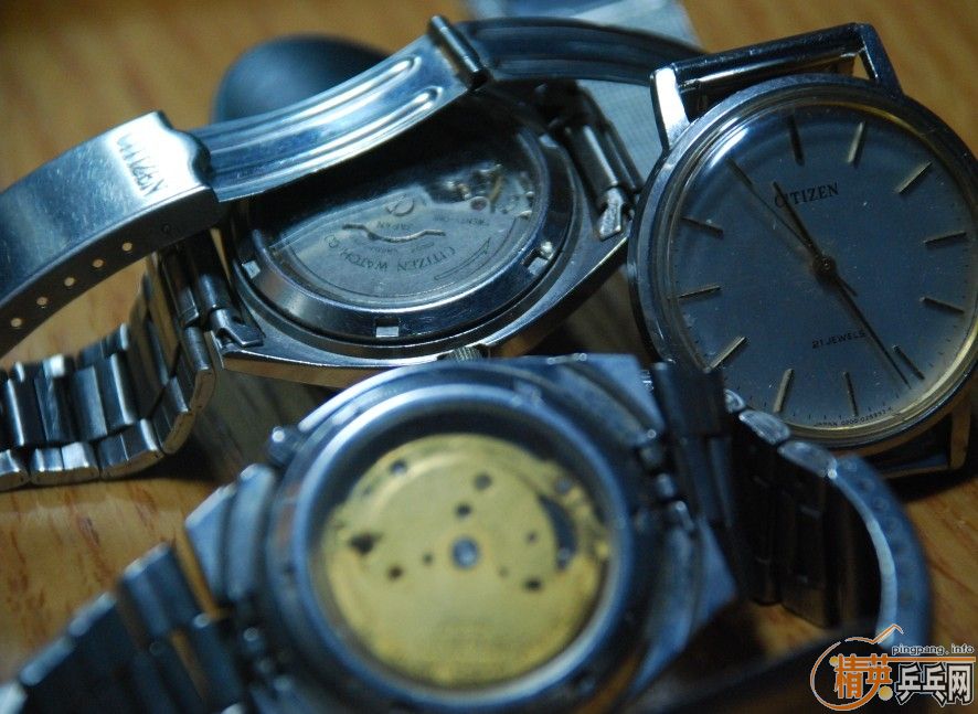 ��ֻ�϶����ܻ�һֻ����������oc��