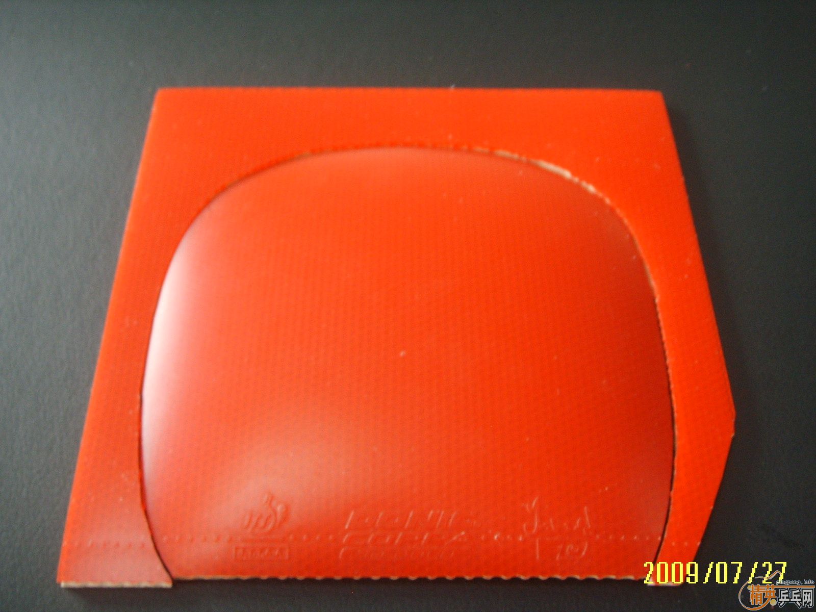 ������˽�JO  ��ֱ���90����(coppa jo gold)