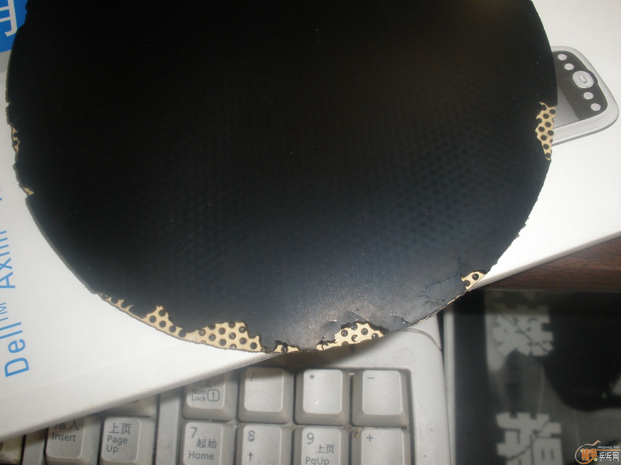 �����ź�ɫ��JO GOLD  MAX������