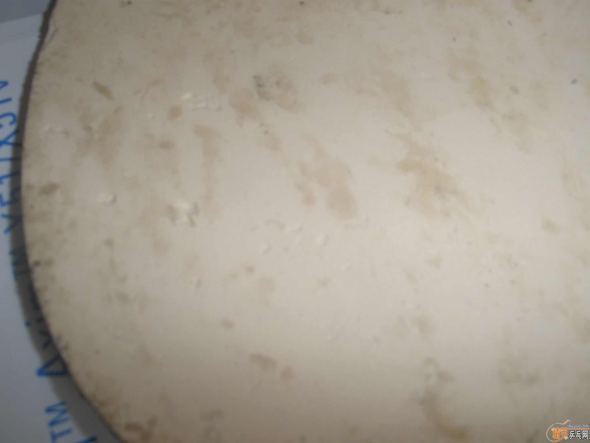 �����ź�ɫ��JO GOLD  MAX������