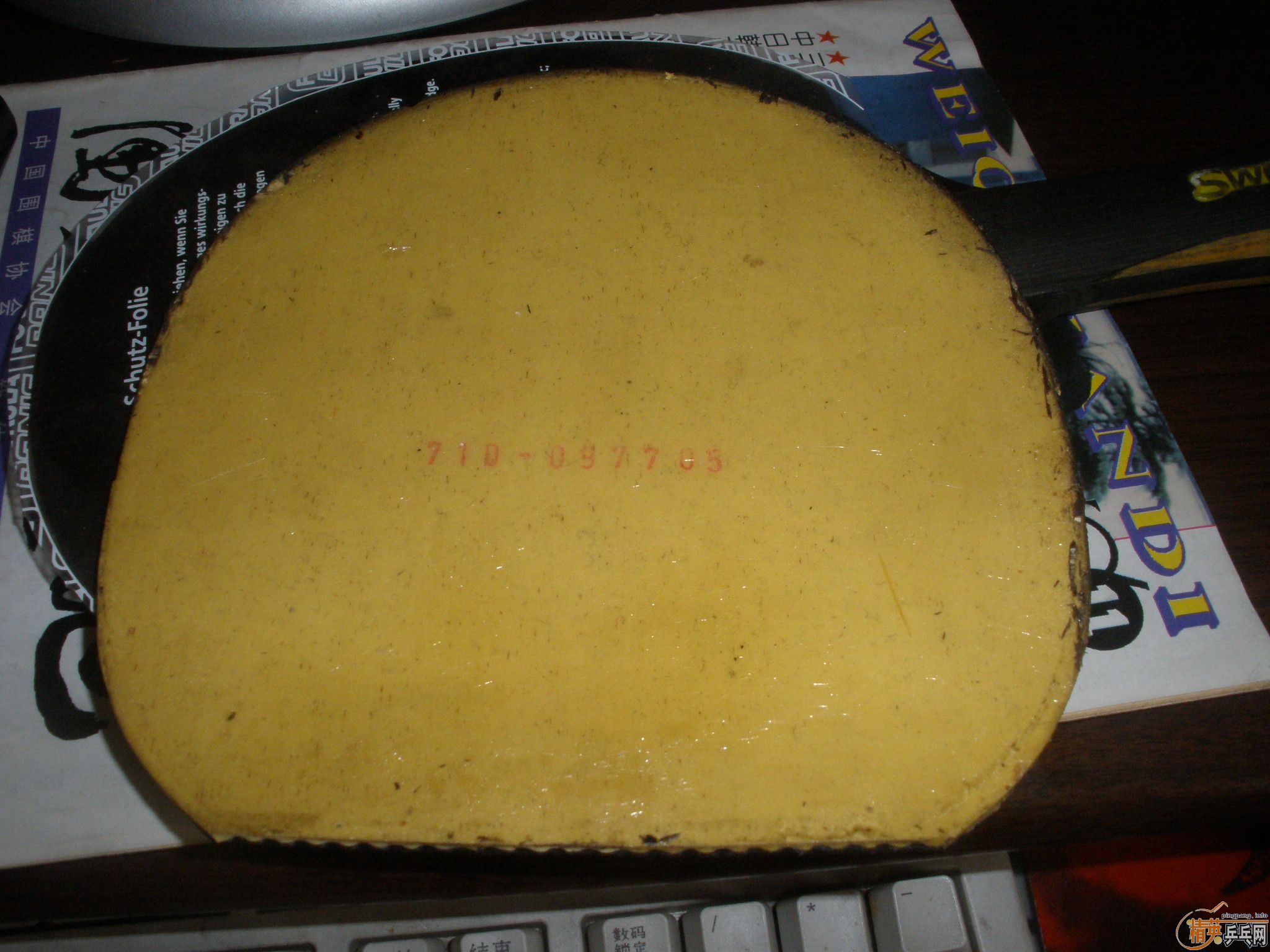 �����ź�ɫ��JO GOLD  MAX������