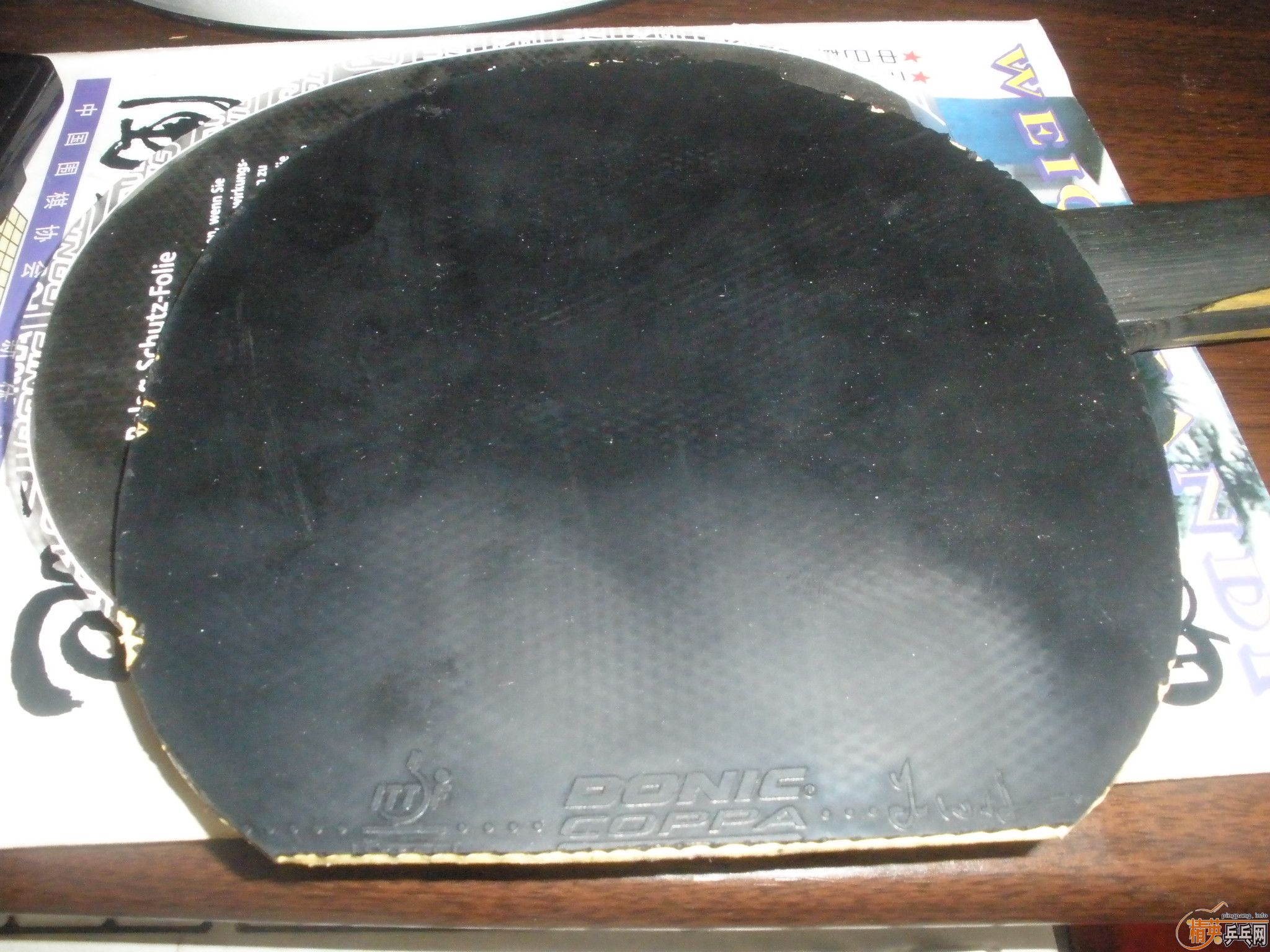 �����ź�ɫ��JO GOLD  MAX������