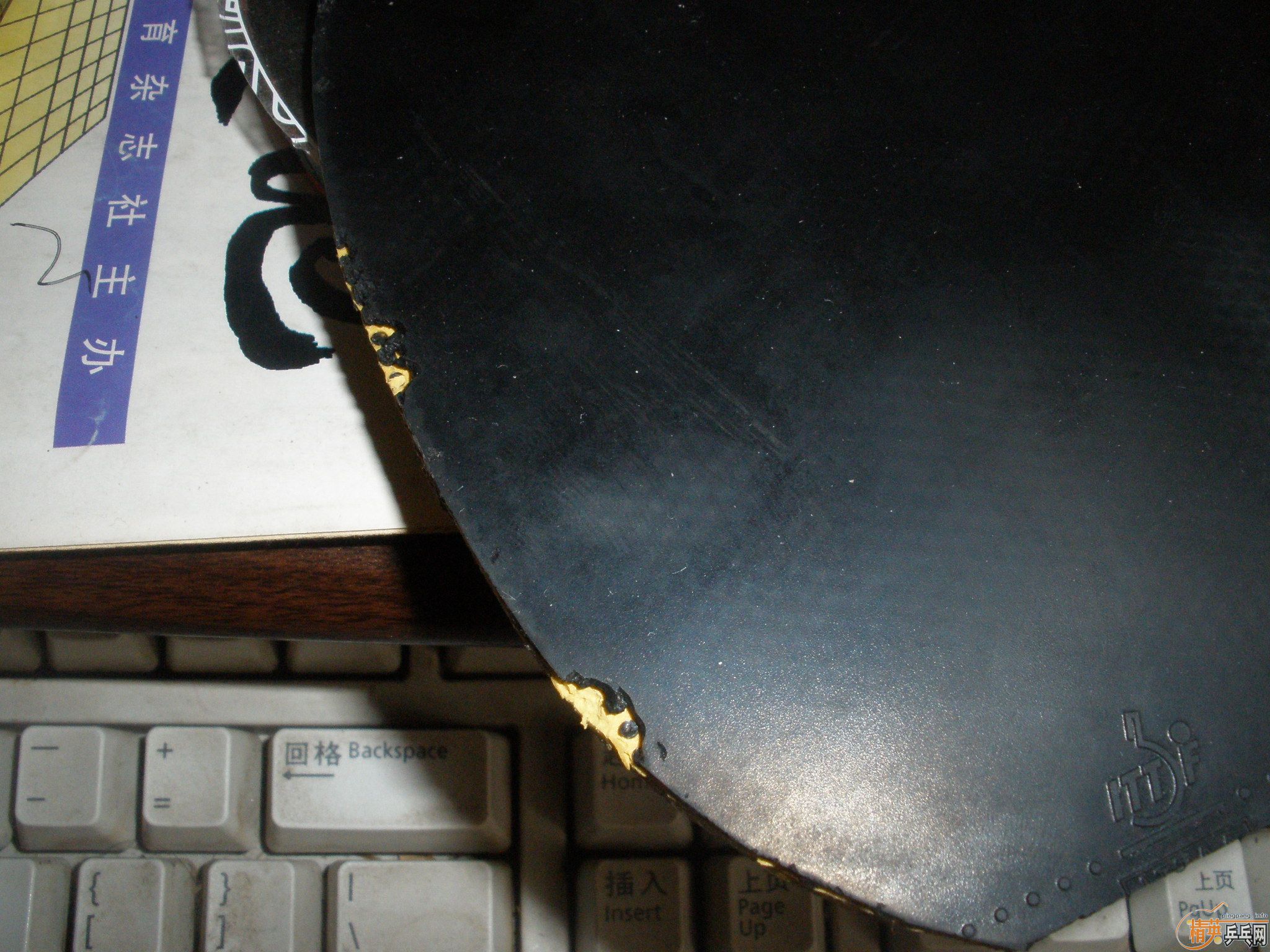 �����ź�ɫ��JO GOLD  MAX������