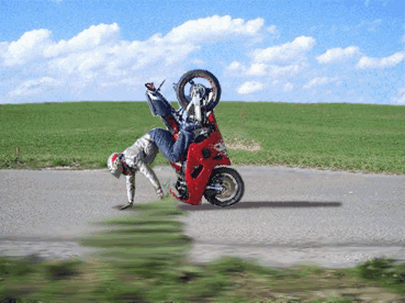 WAf4zcGX.gif