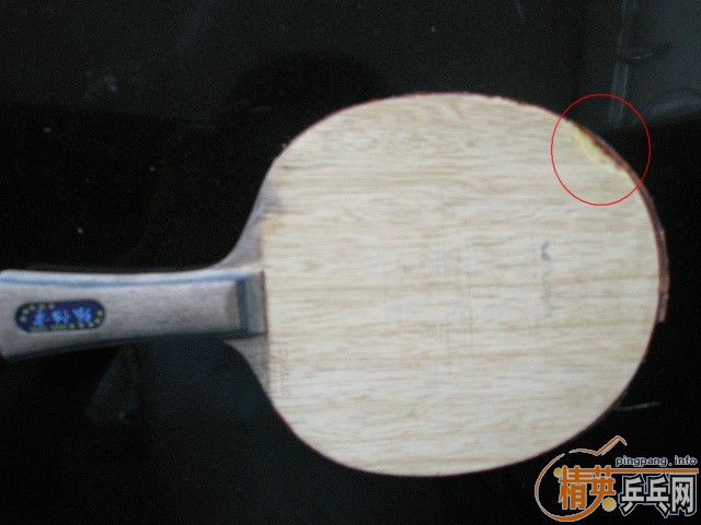 ����200Ԫ��һֻ�����İ���