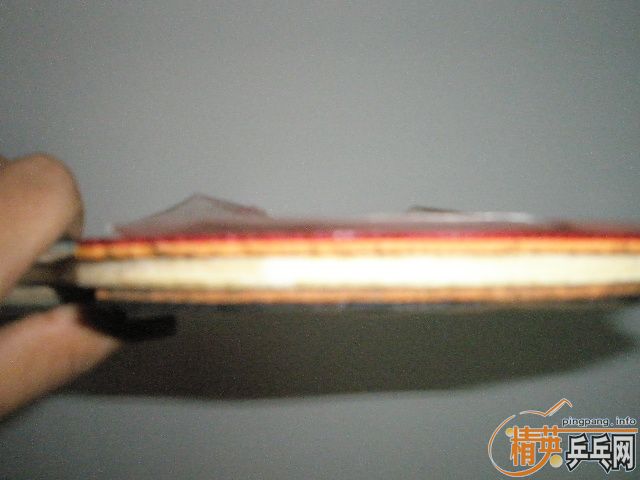 ����200Ԫ��һֻ�����İ���