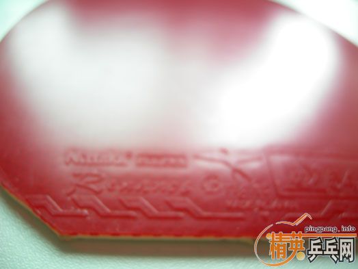 ��԰�϶�����Ƥ���������ף���ʮ�飬����