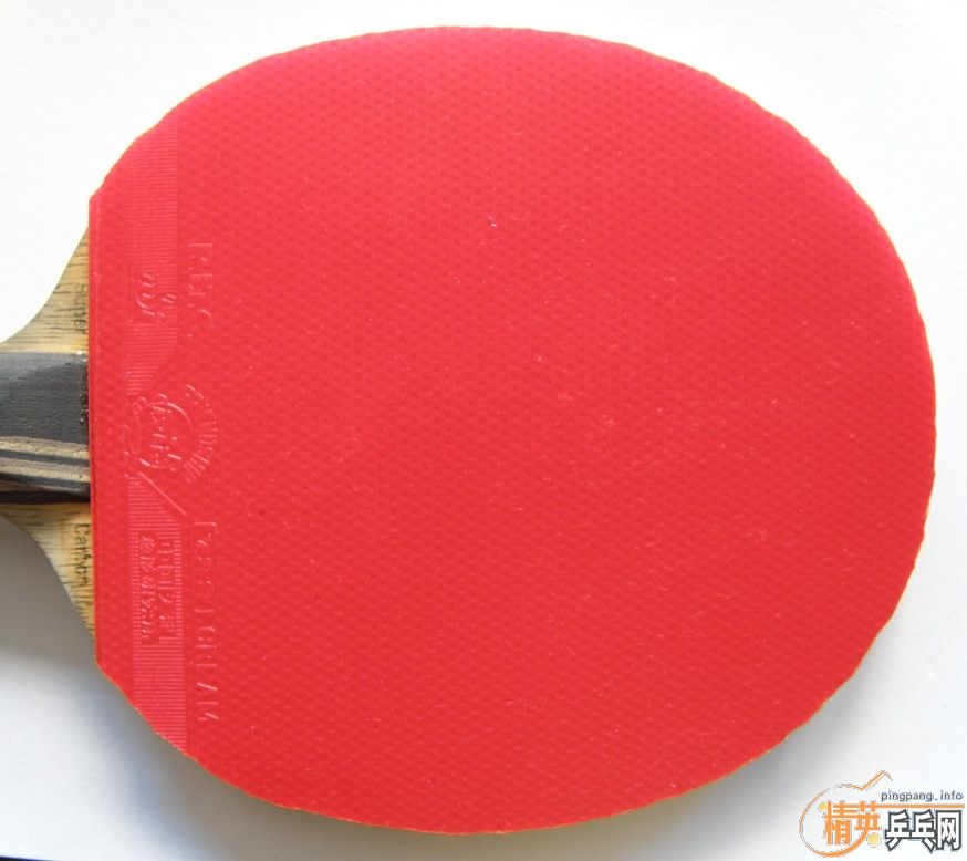 30Ԫ����֧������09�¾�Ʒ729��43��STIGA�����