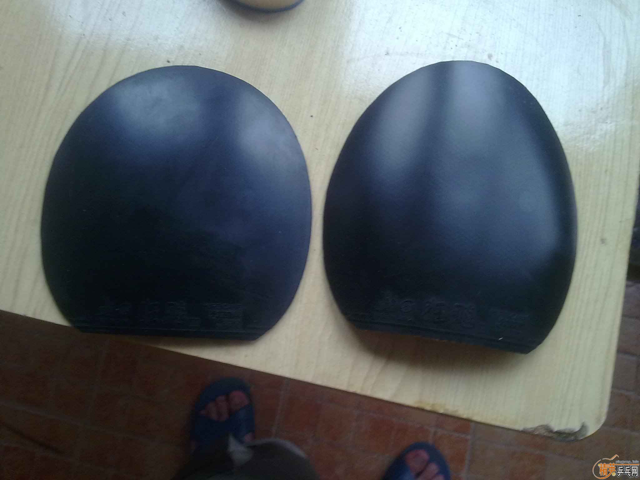 �����Ž�Ƥ �Уƣ�ʡ�񡡿����G666 ֧��֧����