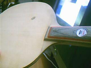 ���˳���̼�ͽ�Ƥ