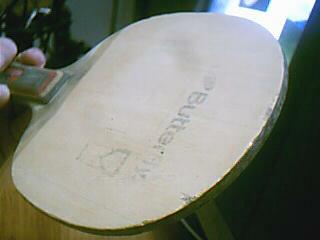 ���˳���̼�ͽ�Ƥ