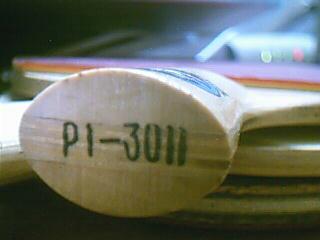 ���˳���̼�ͽ�Ƥ