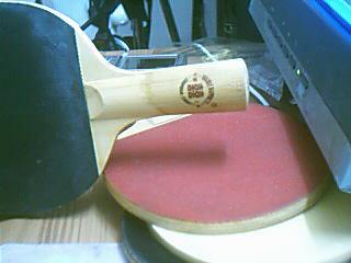 ���˳���̼�ͽ�Ƥ