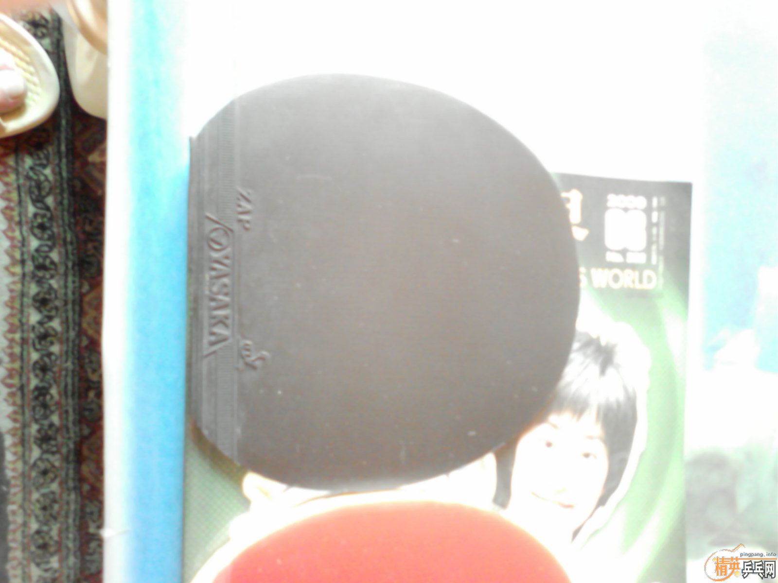 ������������ȫ���������׽�