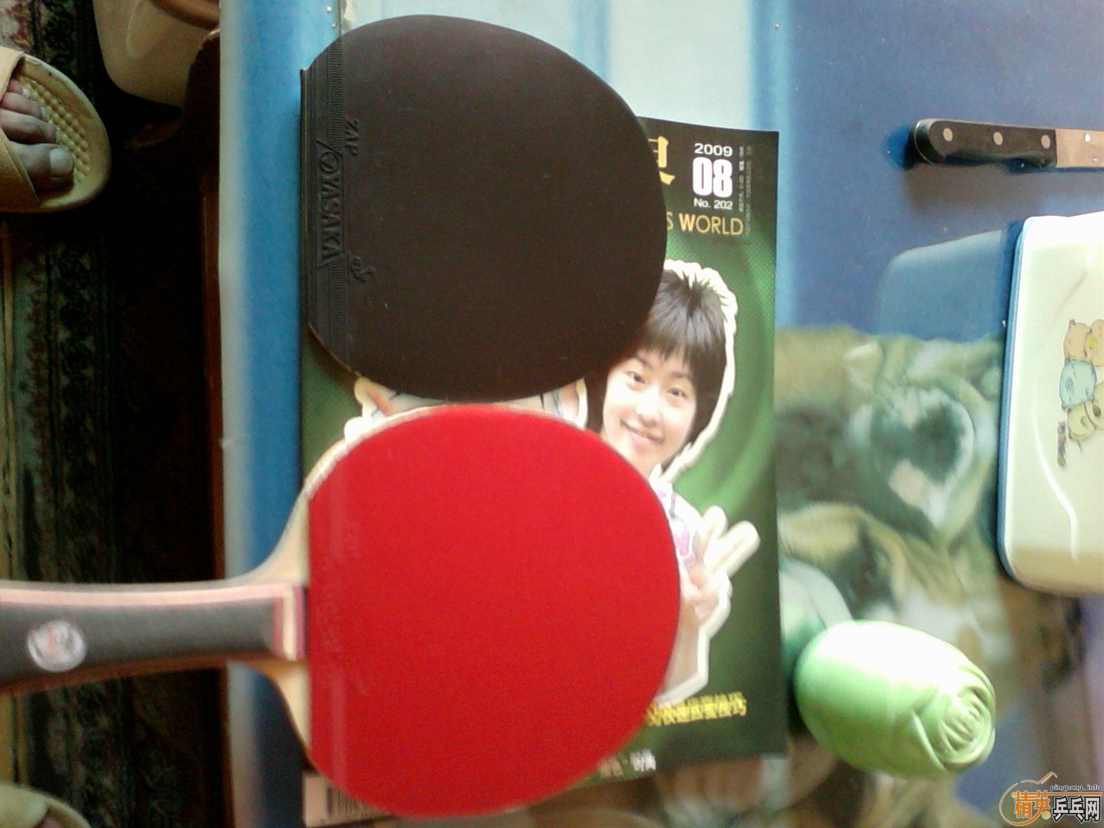 ������������(quan xin)�������׽�