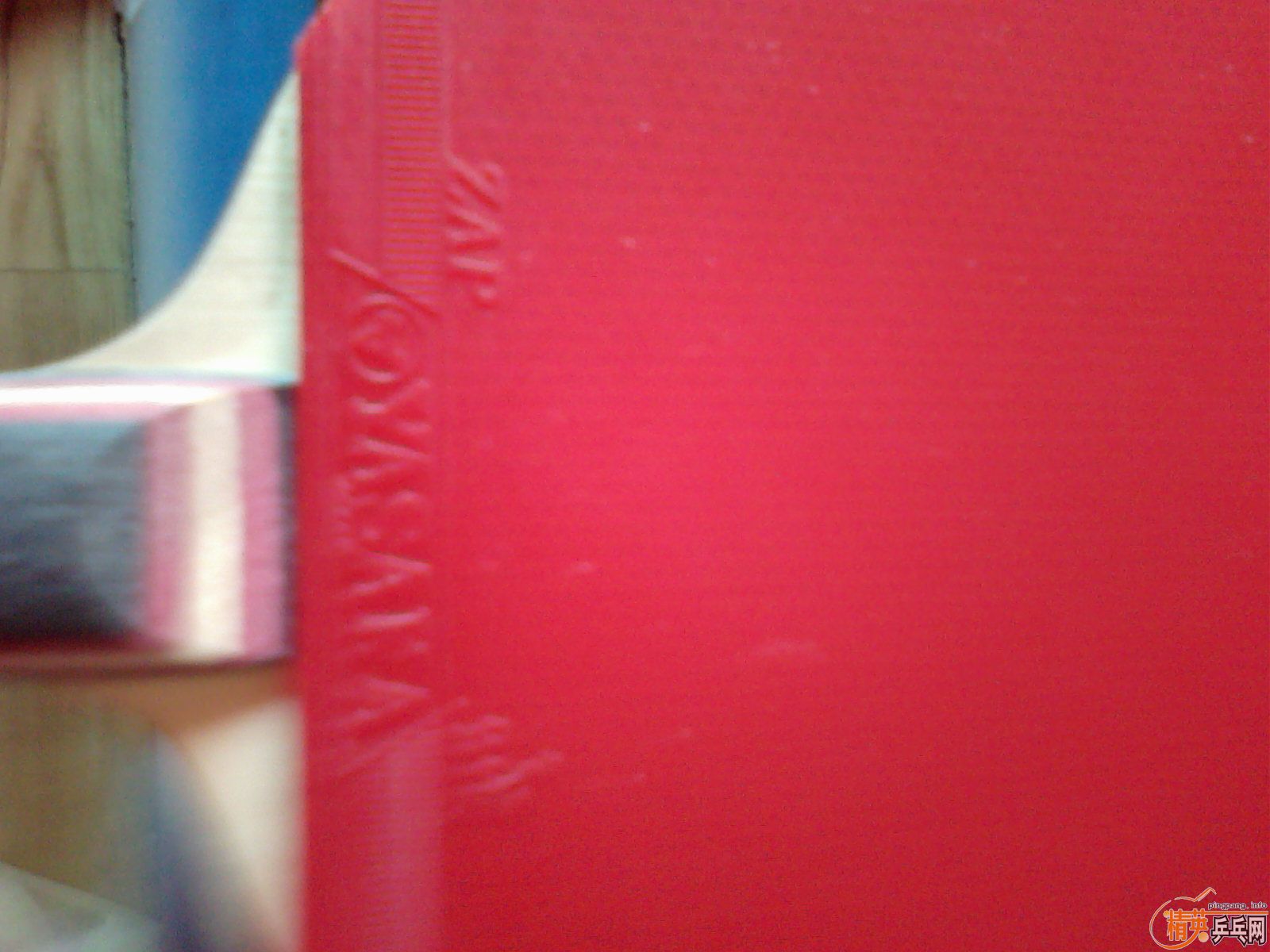 ������������(quan xin)�������׽�